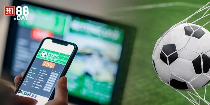 Cách đọc bảng tỷ lệ kèo rất quan trọng trong cá độ.