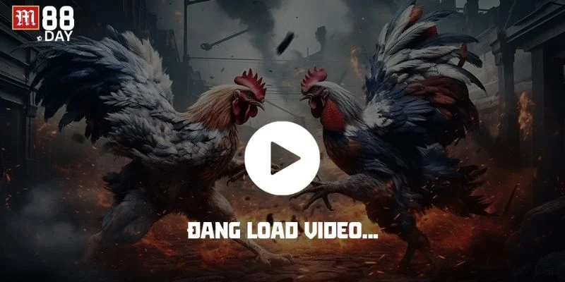 Sảnh chơi đá gà Thomo là địa chỉ cược được bet thủ tin tưởng.