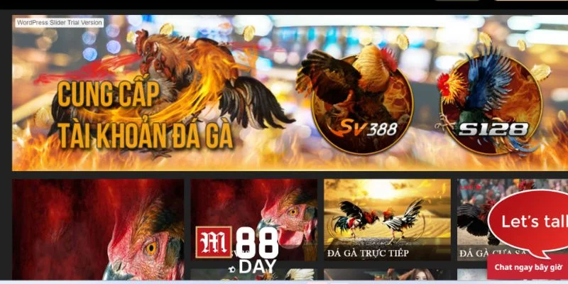 Sảnh đá gà online tại M88 thu hút đông đảo người chơi tham gia.