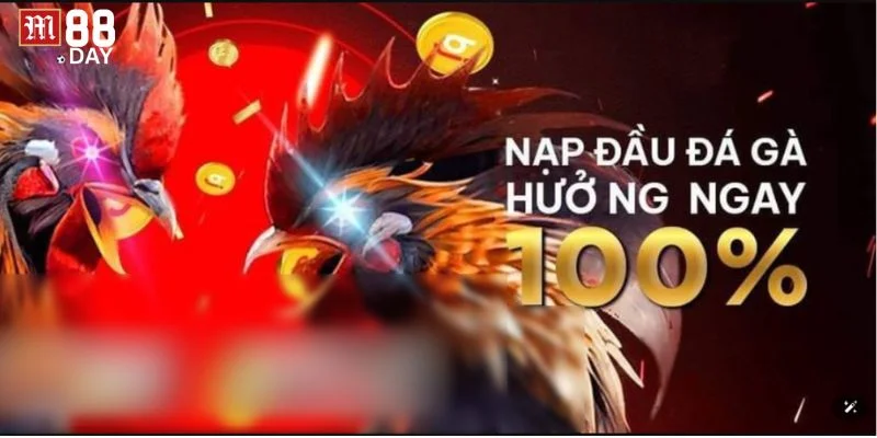 Sàn cược đá gà M88 mang đến rất nhiều khuyến mãi khủng.