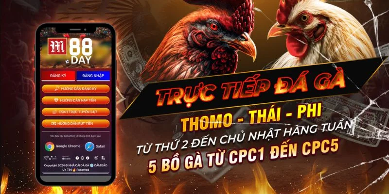 Khuyến mãi dành cho hội viên đá gà VIP của M88 rất hấp dẫn. 