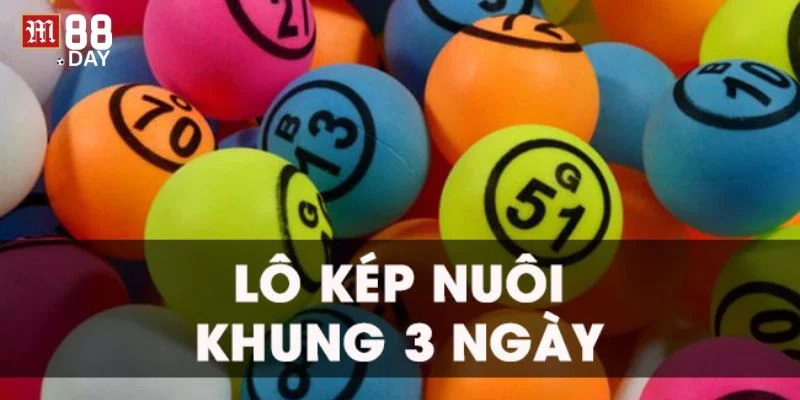 Chơi khung 3 ngày, không nên nuôi dài để tránh lỗ vốn.