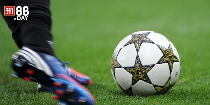 M88 là nhà cái cá độ sôi động với hàng nghìn kèo chơi mỗi ngày.