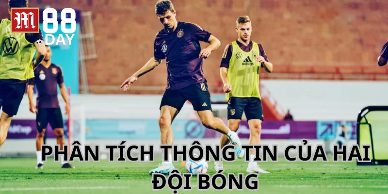 Tổng hợp thông tin liên quan về hai đội trước khi đặt cược.